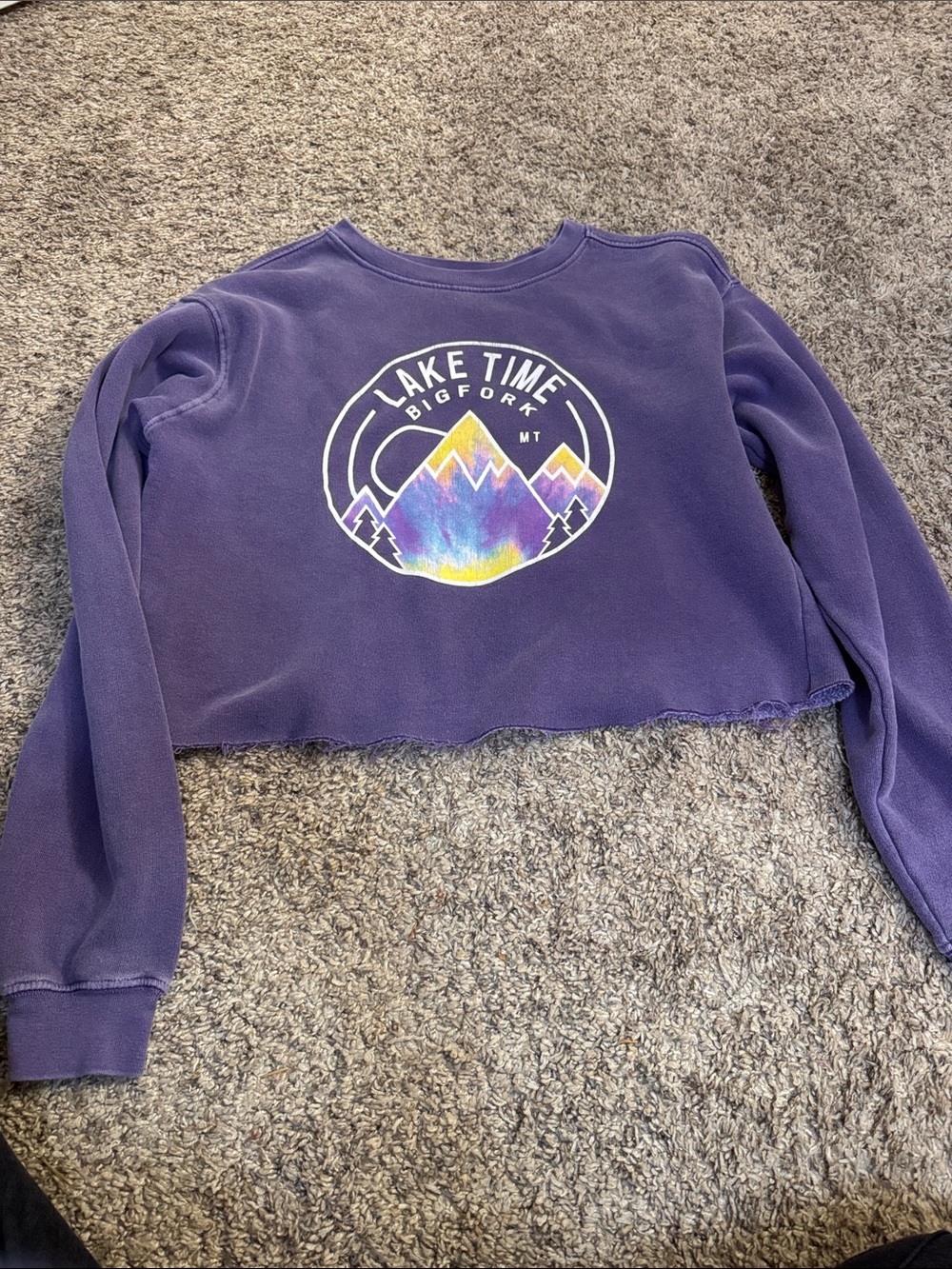 Blue 84 Purple Lake Time Graphic Cropped Sweatshirt